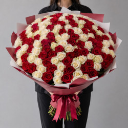 101 белая и красная роза